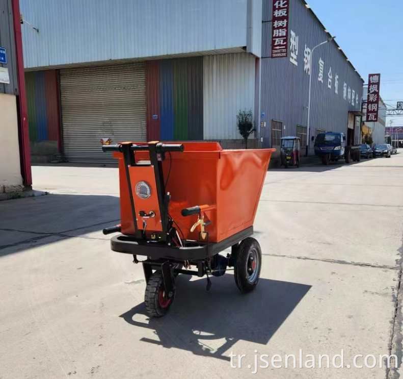 Özel renk elektrikli üç tekerlekli bisiklet Custom Color Electric Tricycle